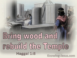 Haggai 1:8